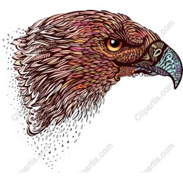 Majestic Eagle
