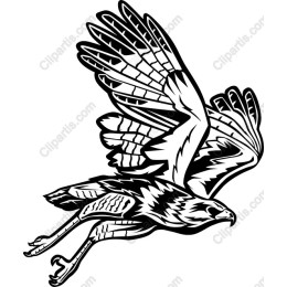 Majestic Hawk
