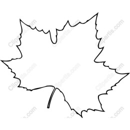 Maple Leaf