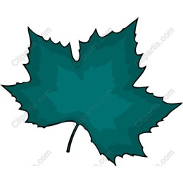 Teal Leaf