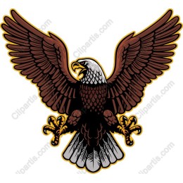 Majestic Eagle