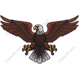 Majestic Eagle