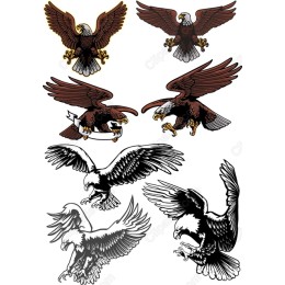Eagle Bundle - Files Collection