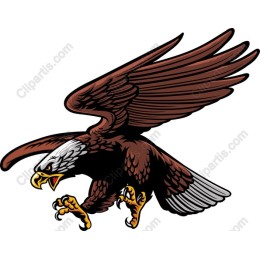 Majestic Eagle