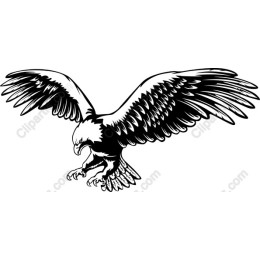 Majestic Eagle in Flight