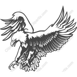 Majestic Eagle