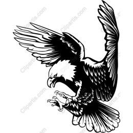 Majestic Eagle in Flight