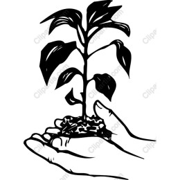 Nurturing Hands with Growing Plant