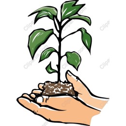 Nurturing Plant