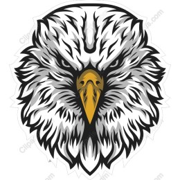 Fierce Eagle Head