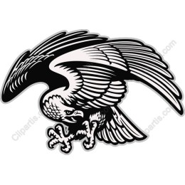 Eagle in Flight