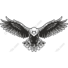 Fierce Eagle work