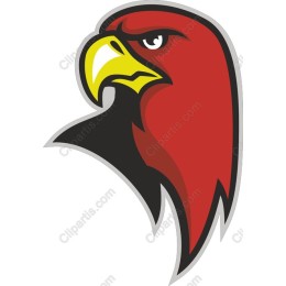 Fierce Hawk Head