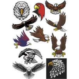 Eagle & Hawk Bundle