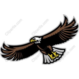 Majestic Eagle
