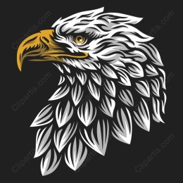 Majestic Eagle Head