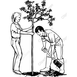Tree Planting Enthusiasts