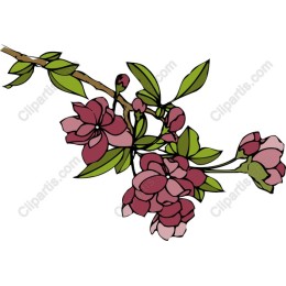 Floral Branch