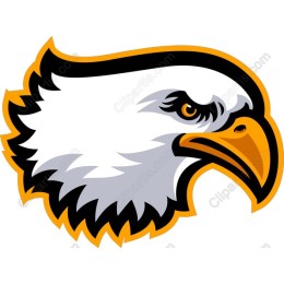 Majestic Eagle Head