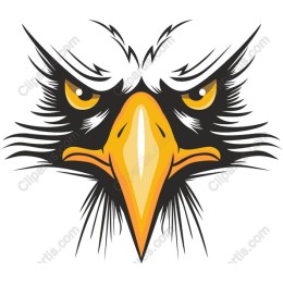 Fierce Eagle Head