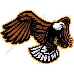 Fierce Eagle