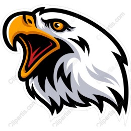 Majestic Eagle Head