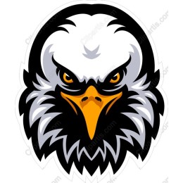 Fierce Eagle Head