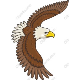 Majestic Eagle