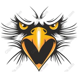Fierce Eagle Head