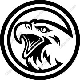 Bold Eagle Head