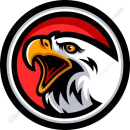 Fierce Eagle Head