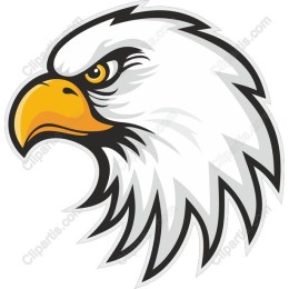 Fierce Eagle Head