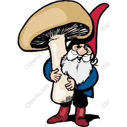 Whimsical Gnome with Mushroom