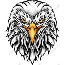 Majestic Eagle Head