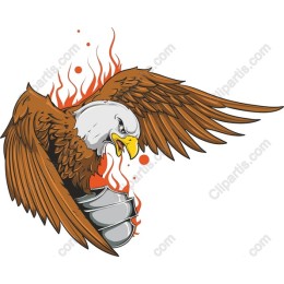 Fierce Eagle
