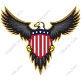 Patriotic Eagle Shield