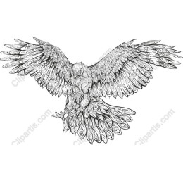 Majestic Eagle