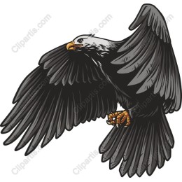 Majestic Eagle