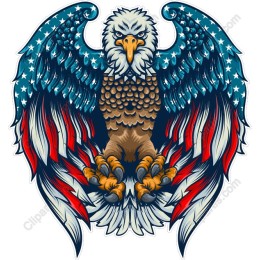 Majestic Eagle - American Flag