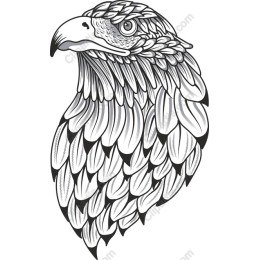 Majestic Eagle Portrait