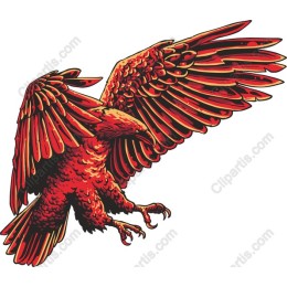 Red Eagle - Majestic Bird in Flight /