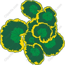 Vibrant Green and Yellow Leaves