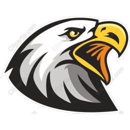 Majestic Eagle