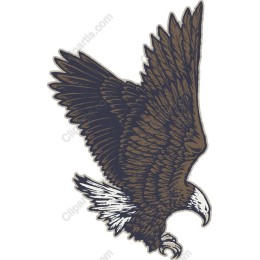 Majestic Eagle