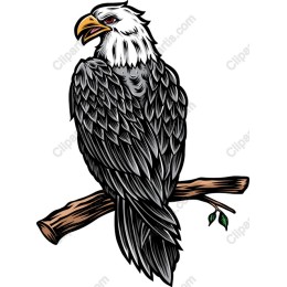 Majestic Eagle Perched