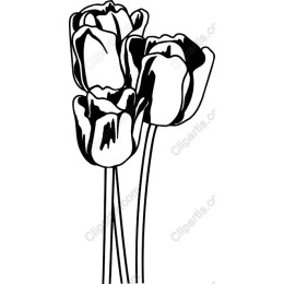 Stylized Tulip Trio - Black and White