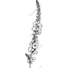 Floral Elegance
