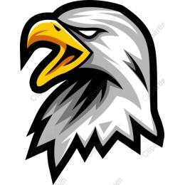 Fierce Eagle Head