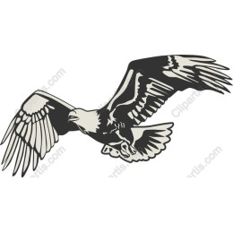 Eagle in Flight