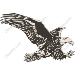Majestic Soaring Eagle